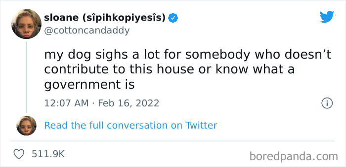 Funny-Cat-Dog-Tweets