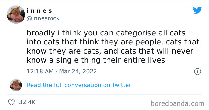 Funny-Cat-Dog-Tweets