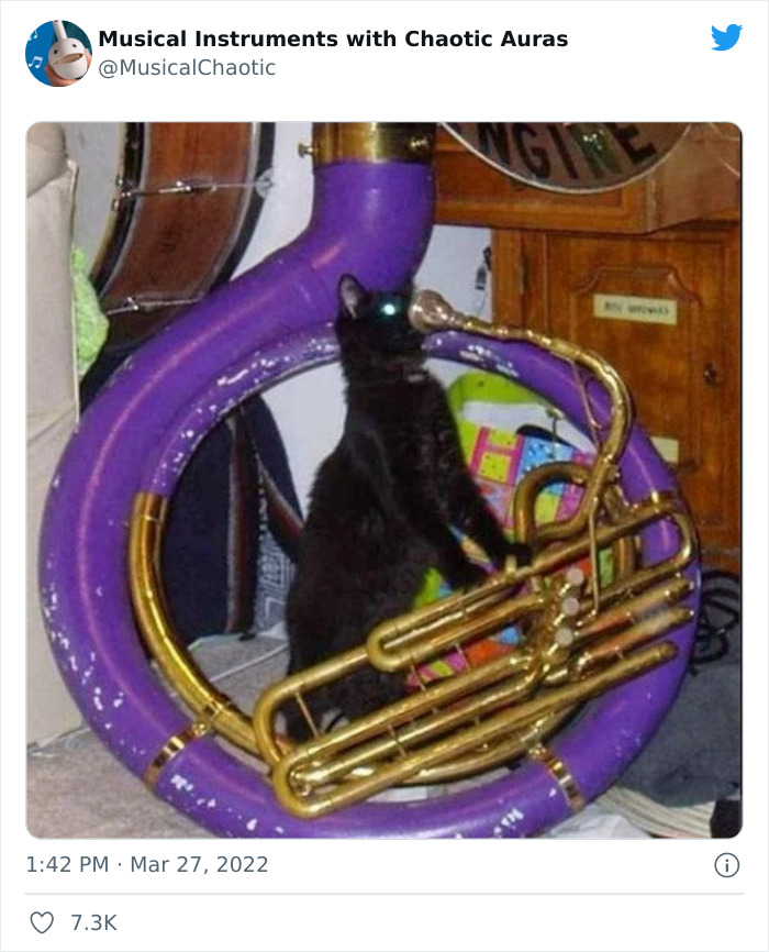 30 Funny And Bizarre Pics From The "Musical Instruments With Chaotic Auras" Twitter Page