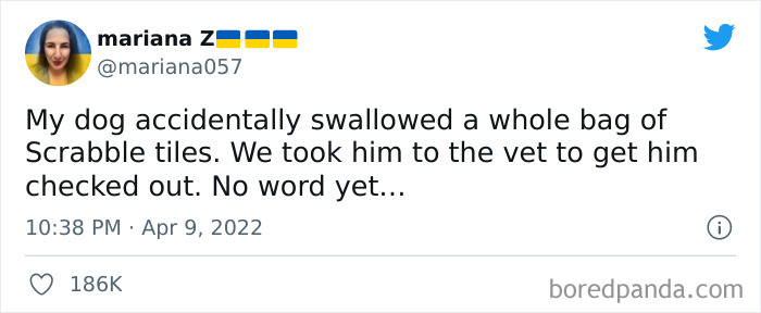 Funny-Cat-Dog-Tweets