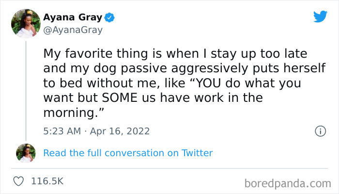 Funny-Cat-Dog-Tweets