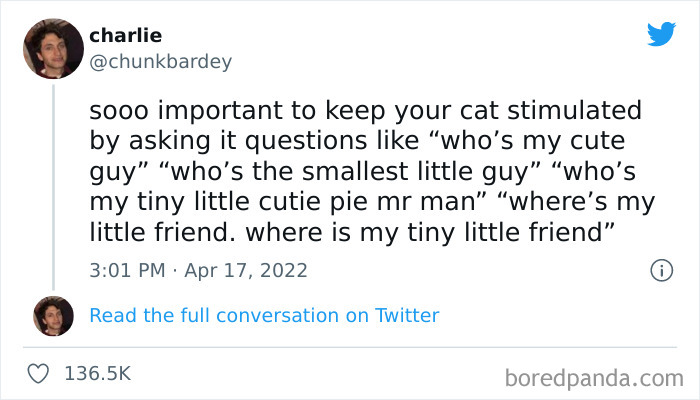 Funny-Cat-Dog-Tweets