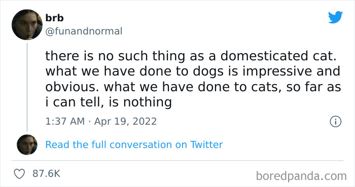 Funny-Cat-Dog-Tweets