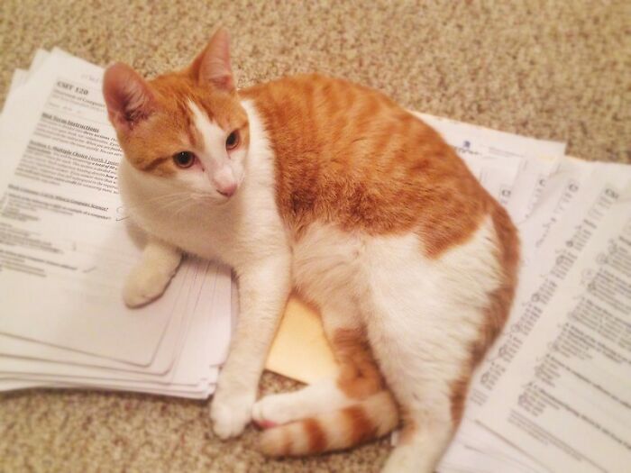 People Are Sharing 30 Stories About The Mistakes Their Parents Made That Ended Up Affecting Them Long-Term