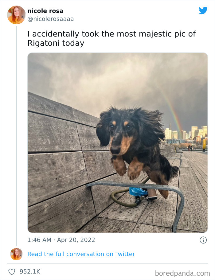 Unexpected-Wholesome-Situations