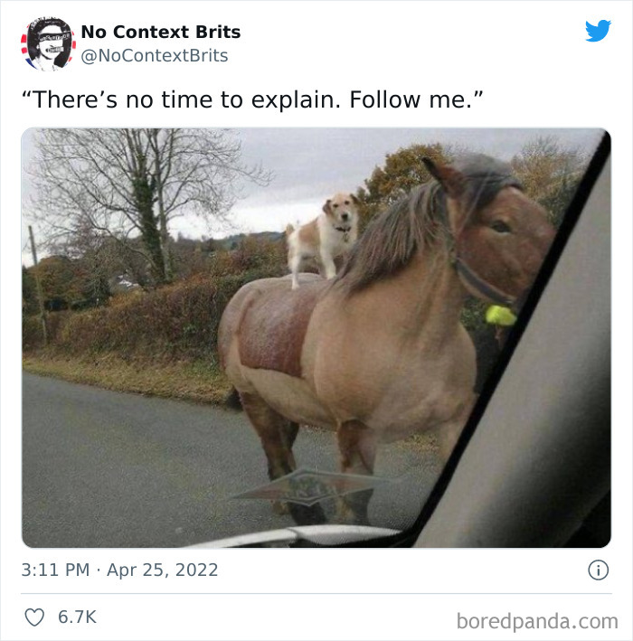 Funny-No-Context-British-Humour