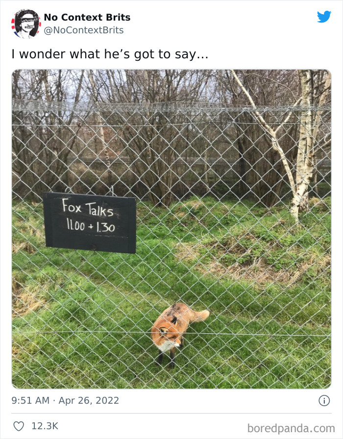 Funny-No-Context-British-Humour