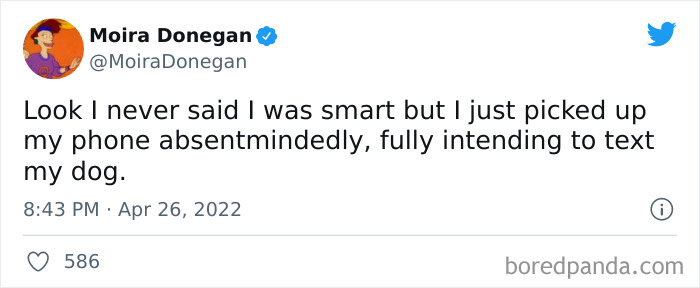 Funny-Cat-Dog-Tweets