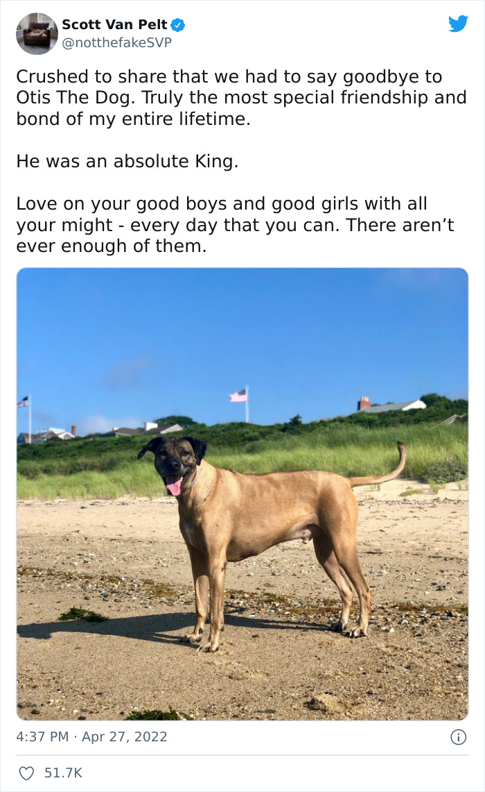 Heartfelt Tribute To Family Dog Who&rsquo;d Passed Away Has Touched Thousands