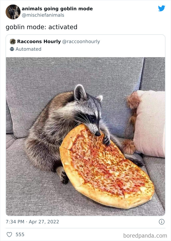 Funny-Animals-Pics-Goblin-Mode