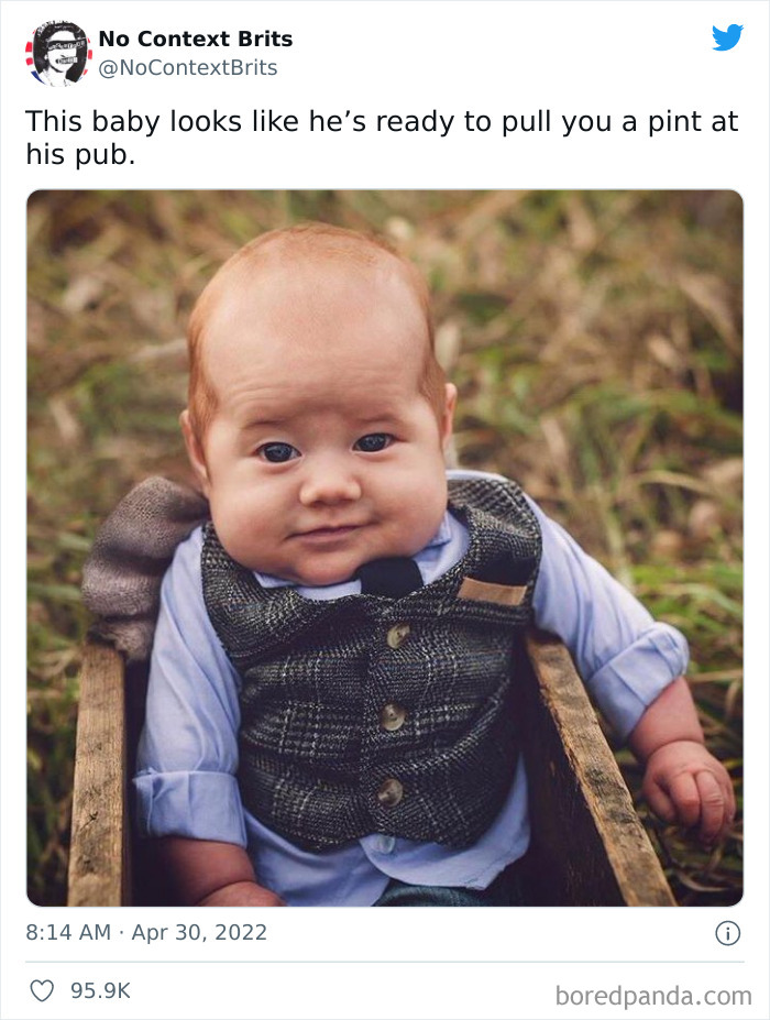 Funny-No-Context-British-Humour