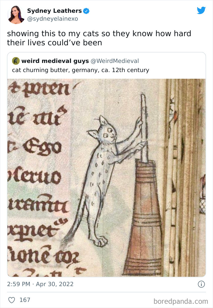 Funny-Cat-Dog-Tweets