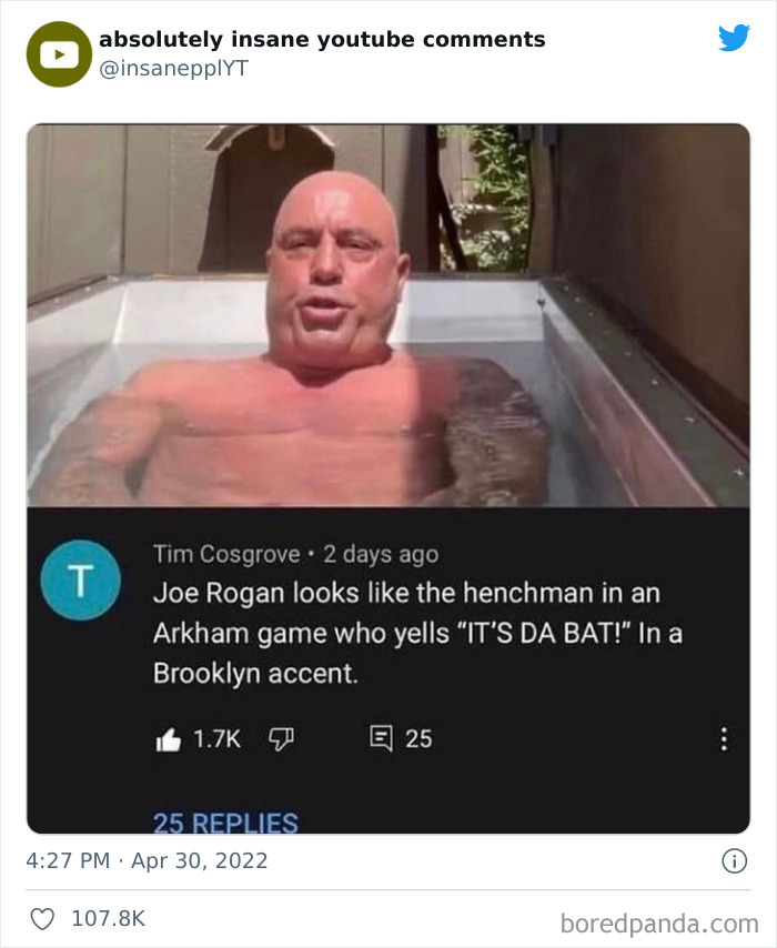 Insane-Youtube-Comments