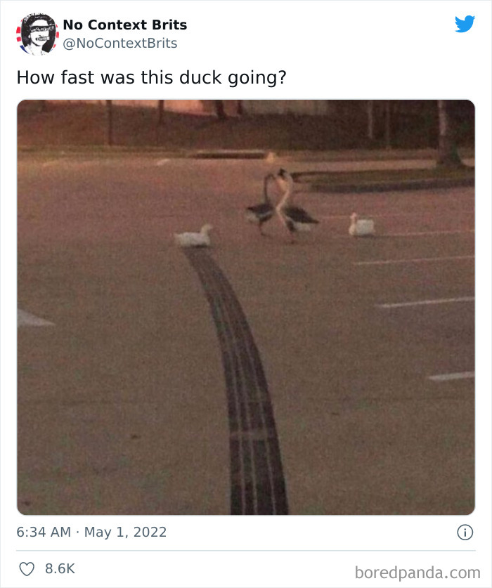 Funny-No-Context-British-Humour