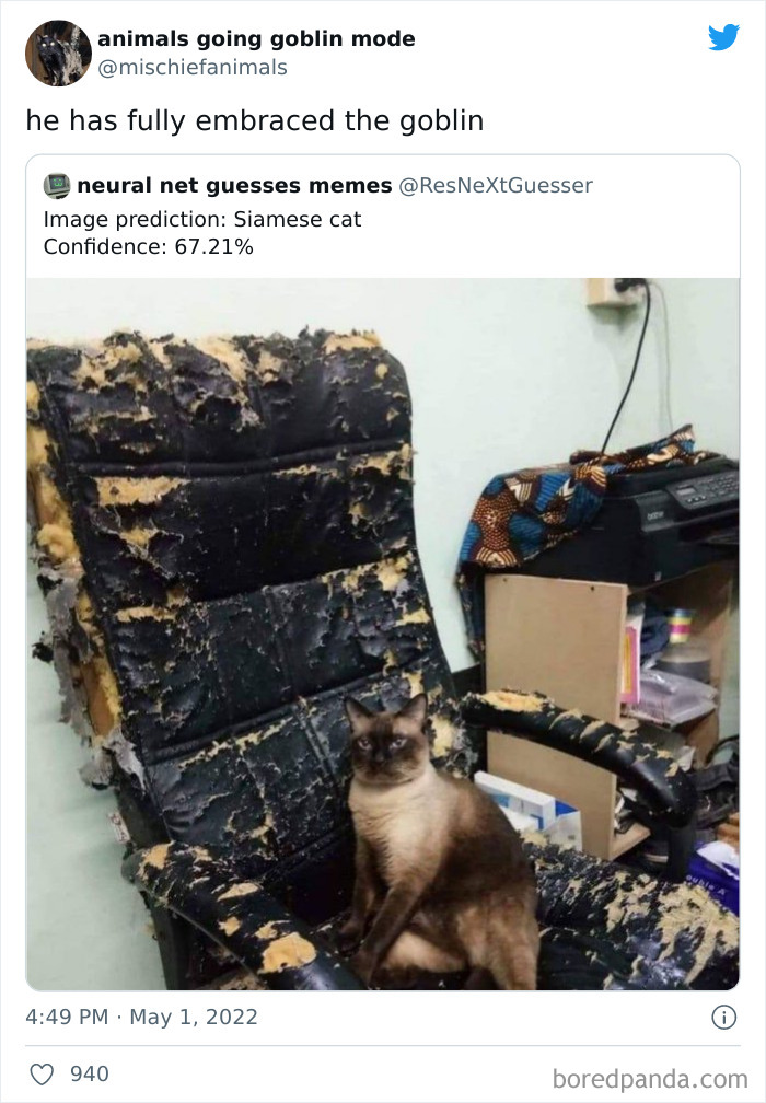 Funny-Animals-Pics-Goblin-Mode