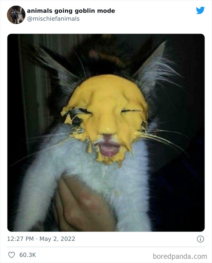 Funny-Animals-Pics-Goblin-Mode