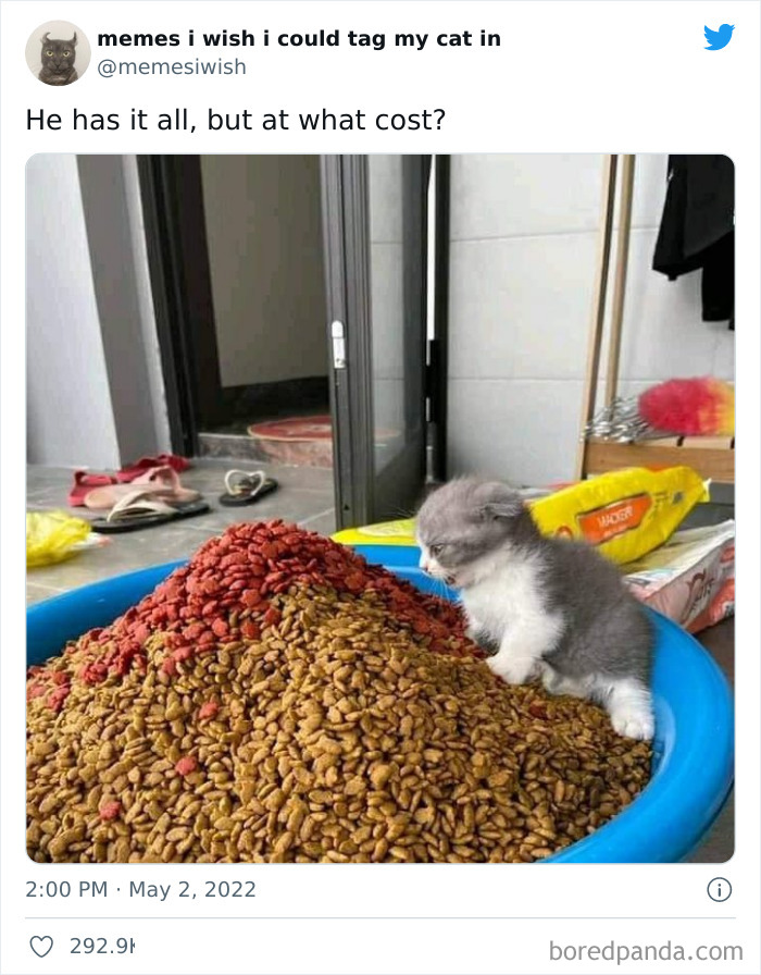 Funny-Cat-Dog-Tweets