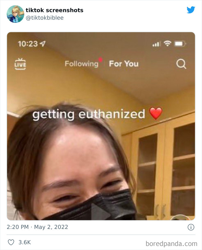 Funny-Tiktok-Screenshots
