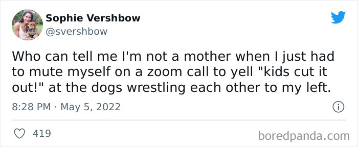 Funny-Cat-Dog-Tweets