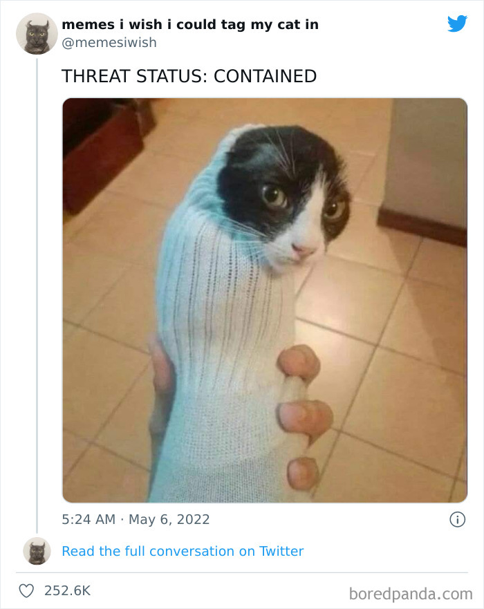 Funny-Cat-Dog-Tweets