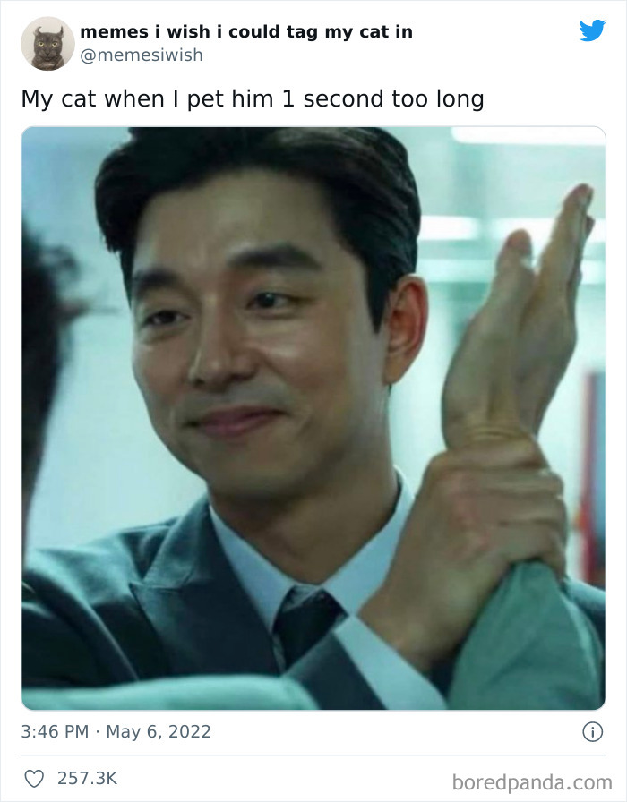 Funny-Cat-Dog-Tweets