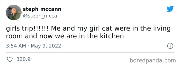 Funny-Cat-Dog-Tweets