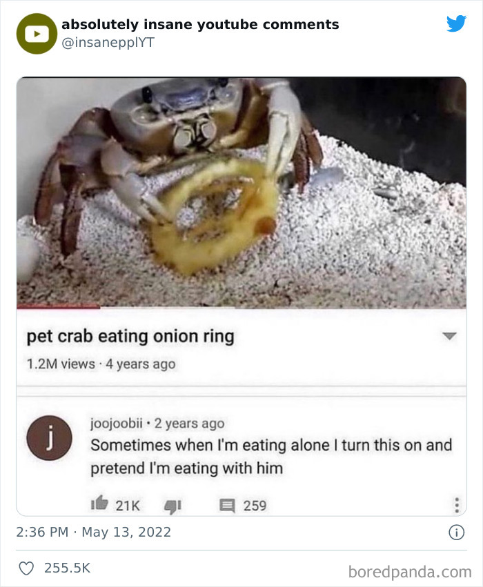 Insane-Youtube-Comments