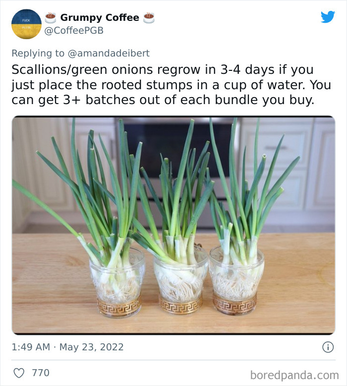 People-Sharing-Their-Best-Life-Hacks