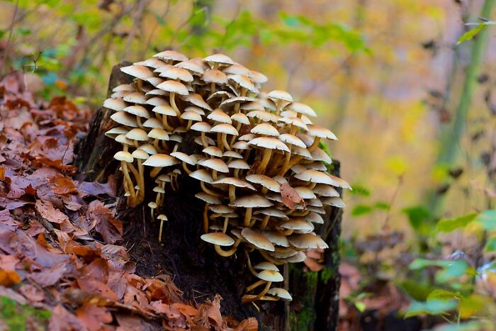 30 Folks Online Share Things That No Tourist In America Should Under Any Circumstances Do