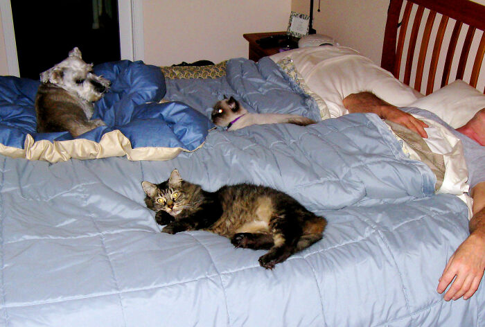 30 Crazy And Unexpected Things People In This Online Community Heard When Someone Forgot To End The Call