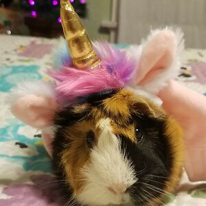 emmamiller6464 avatar