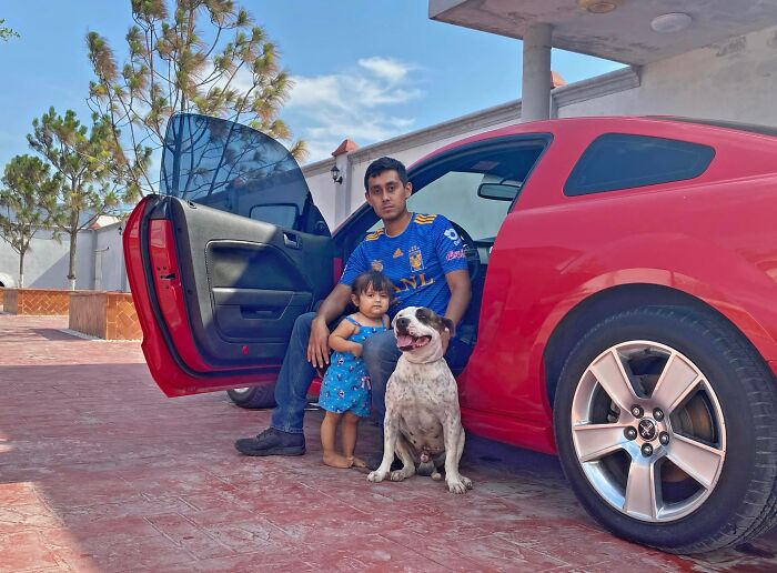 This Dog Was Found Extremely Malnourished, A Few Months Later He’s Unrecognizable As He Recovers And Then Finds A Forever Home - 19