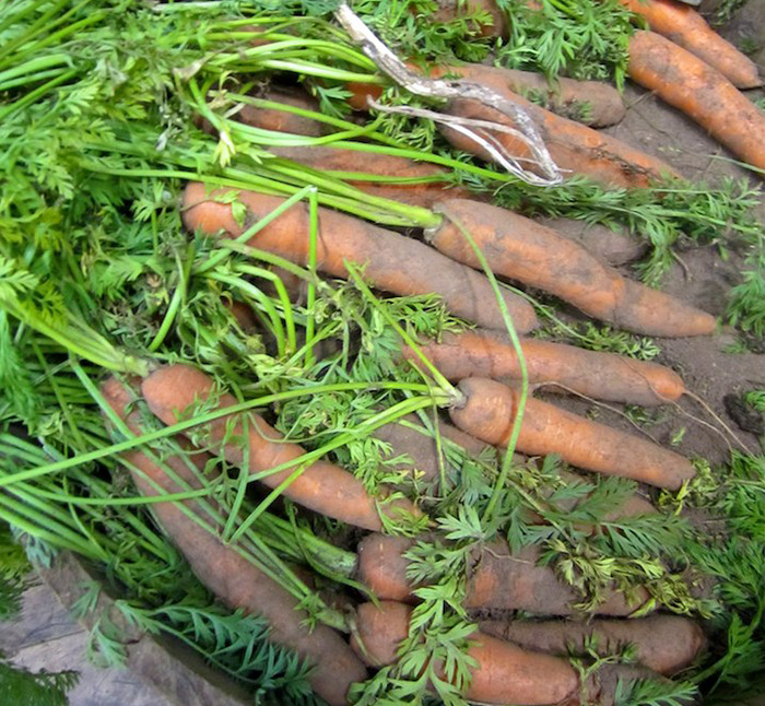 30 Of The Worst Beliefs About Cooking People Have Been Taught By Their Parents, As Shared On This Online Thread