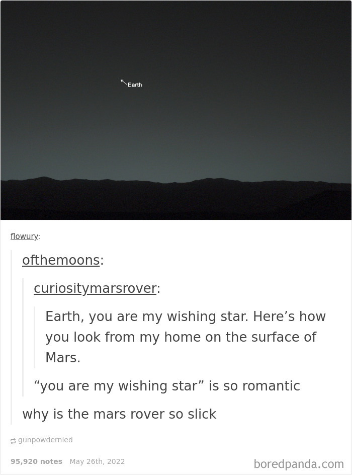 Weird-Side-Of-Tumblr-Posts