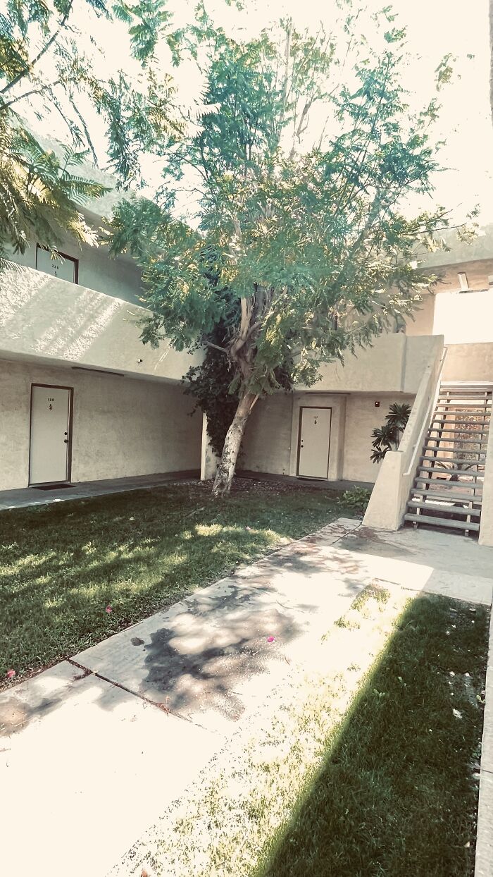 New Pictures That I Took (37 Pics)