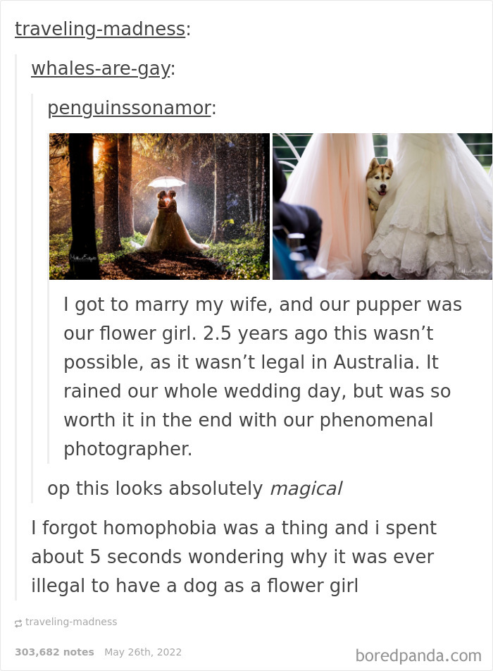 Weird-Side-Of-Tumblr-Posts