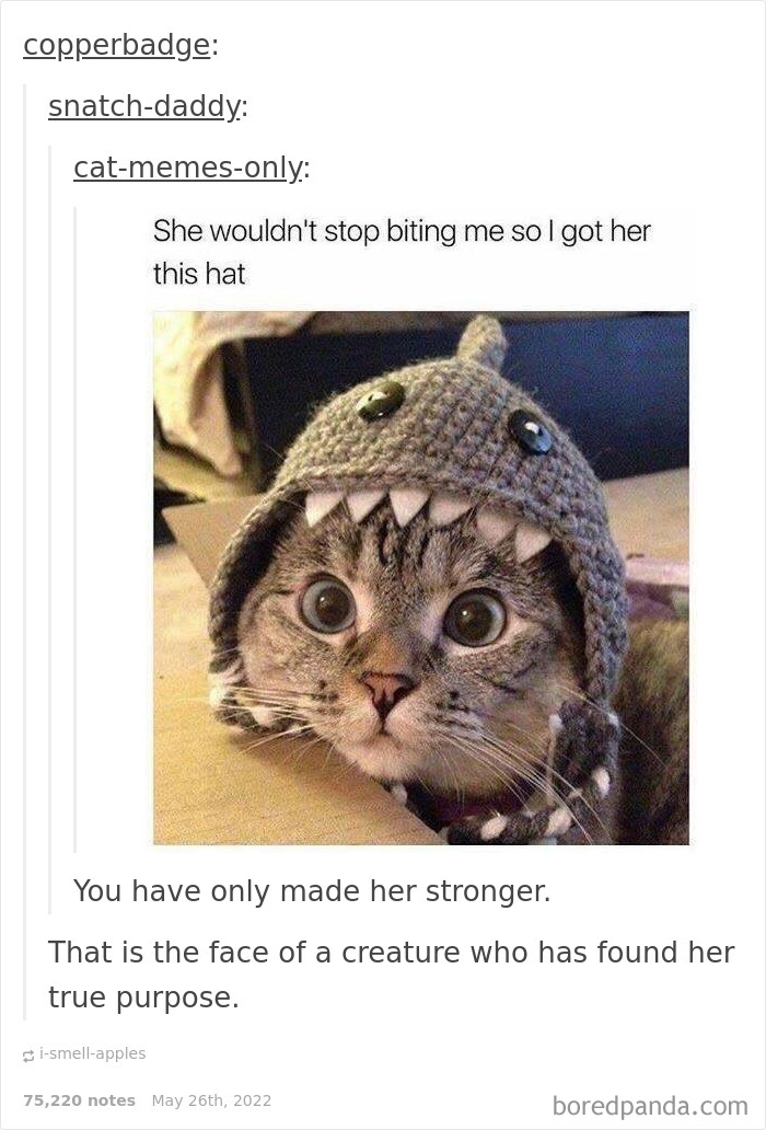 Weird-Side-Of-Tumblr-Posts