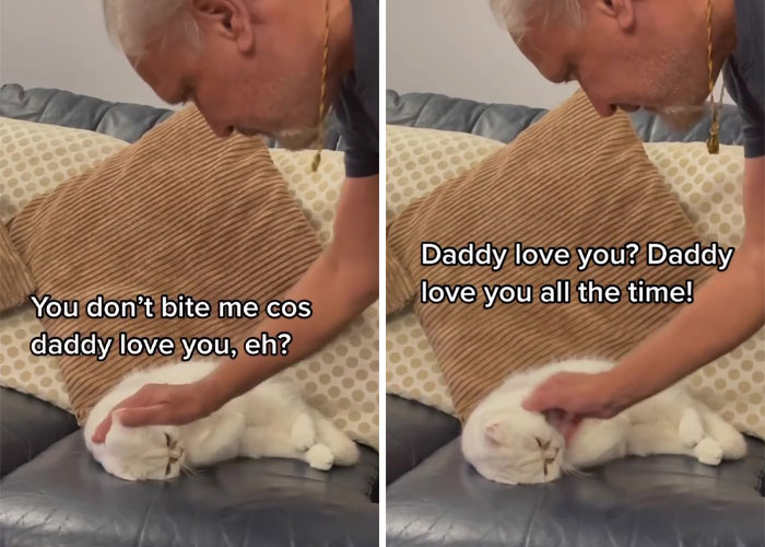 Dad Who Dislikes Cats Became Obsessed With The One His Son Brought Home, Now They&rsquo;re Inseparable