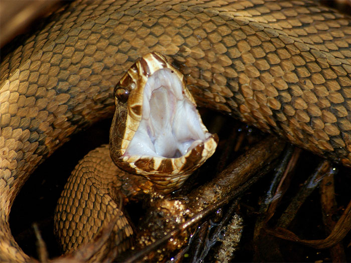 30 Very Appropriate Jokes, As Shared On This "Clean Jokes" Online Group