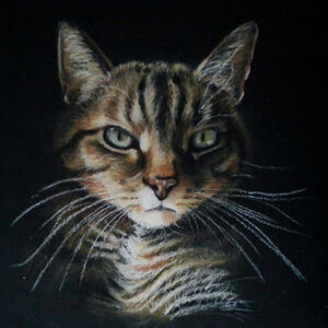 dreamcatcher4281 avatar