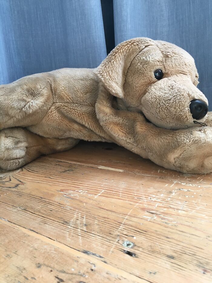 Had Him Since I Was Two 🥰