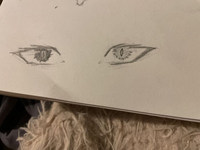 The Picture’s A Little Warped But Here :)