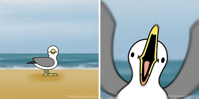 &ldquo;Oh, He Likes Those&rdquo;: Tesco&rsquo;s Staff Have Given Up Trying To Stop Steven The Seagull From Stealing Any More Crisps