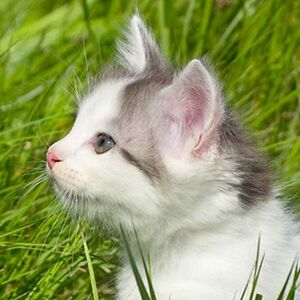 briannab20132 avatar