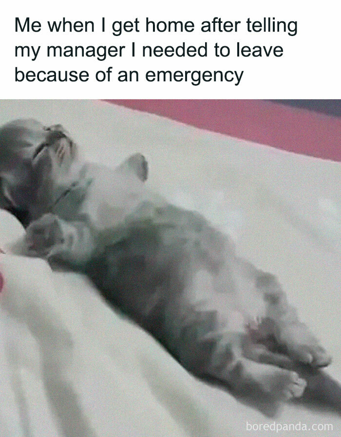 Follow Me @employeeup If You Hate Working 💼
.
.
.
.
.
.
.
.
.
.
#workmemes #workmeme #officememes #officememe #theofficememes #humanresources #theofficememesfunny #jobmemes #9to5life #9to5 #9to5grind #workfromhome #workfromhomelife #workmemes #workmeme #worksucks #workmemes #workmeme #workhumor #workproblems #workprobs #officehumor #officework #officelife #jobmemes #leaveworkearly #ihatemyjob #workaholics #workingmeme #jobmeme