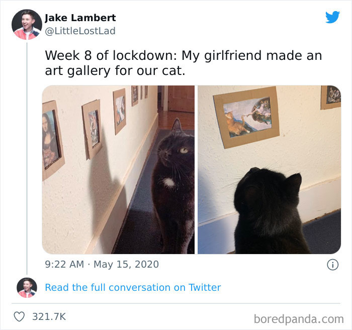 Funny-Cat-Dog-Tweets