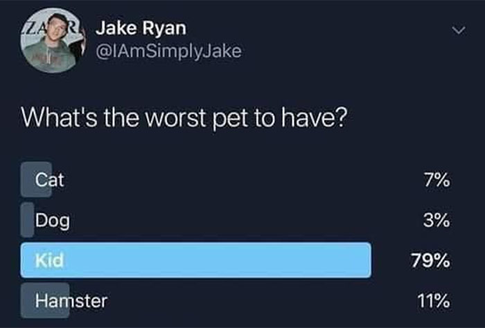 Funny-Child-Free-Humor