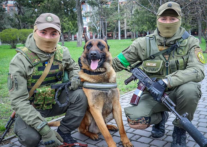 Dog Abandoned By Russian Troops Finds New Owners Within The Ukrainian Army