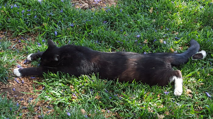 Eddie Has A Thing For Grass.