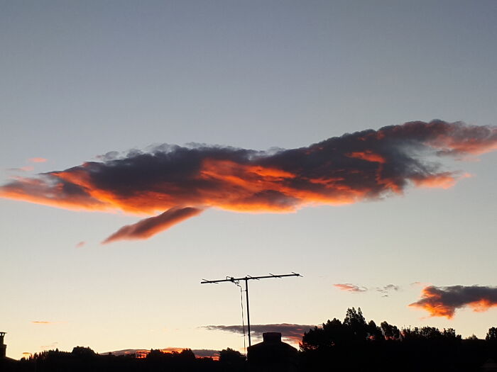 Is It A Bird Or A Plane?